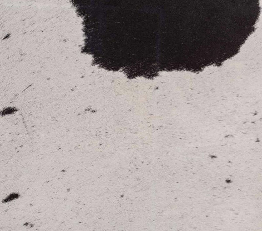 V2H4EA9860D809BFE41FFFFC05F94BFBDECR4859322P4