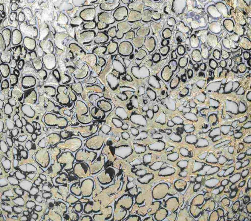 V2H33FA4F9B8DCE84A153280B146820C41ER4862422P3