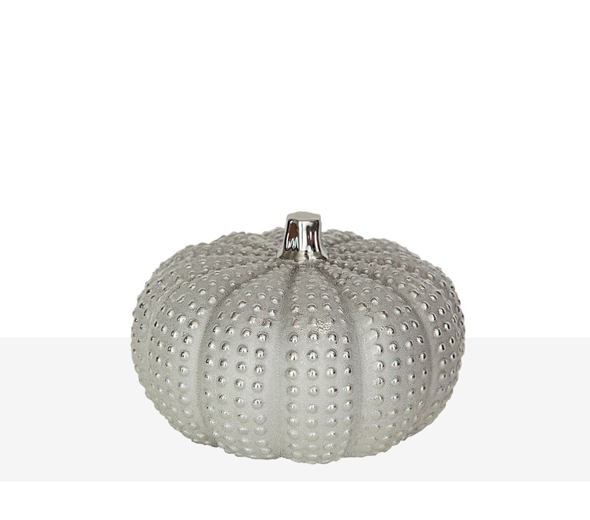 V2HBF9C1296F225F3D75CE29897D549F043R4888289P2