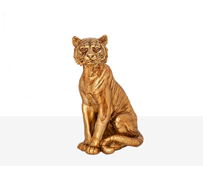 V2H63FCBA19300F11A2321807B05F157CF8R4888323P2