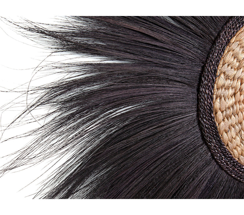 V2HF8AE81F2239BC06B660EDDF0F4F85655R4895750P2