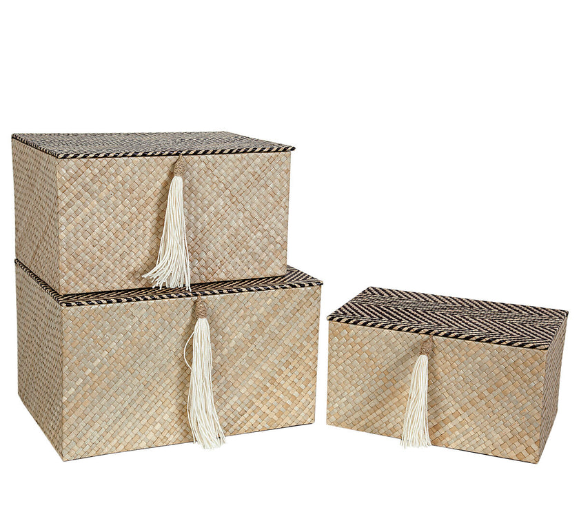 V2HE78D5BA0A78B0F4D78F9D9B8289D8F60R4812584P1