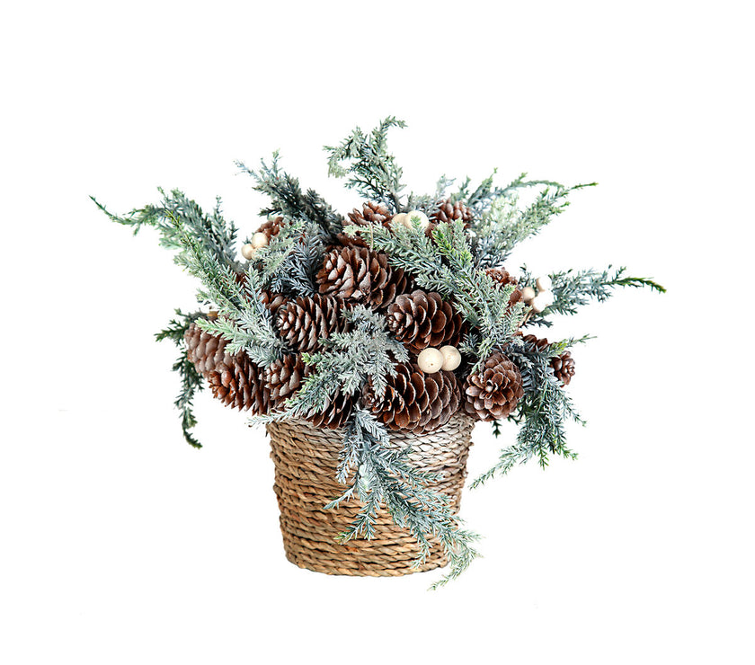 V3H3633B65C0A6DD94DC9C639666F01481AR5195629P1