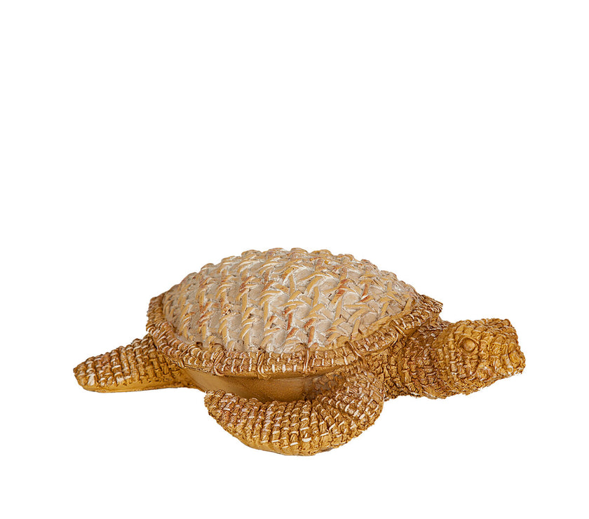 V2H82382680E9C19AD2D81E185587120253R4882198P1