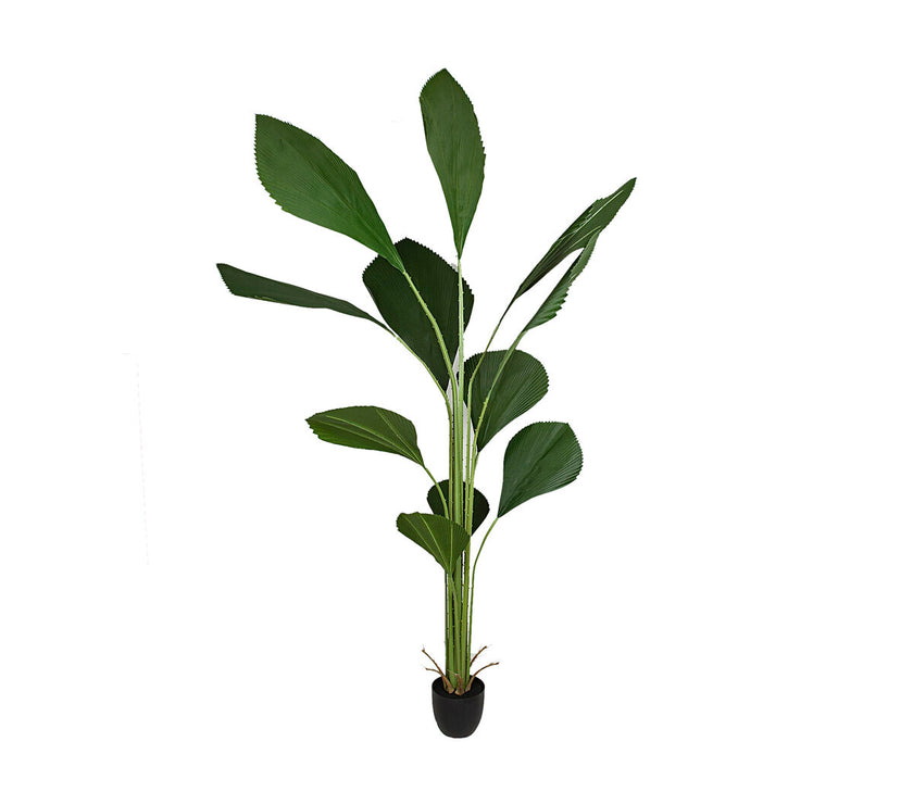 V2HEE2E7F953D5977193CCC5EA786F1A66BR4589591P1