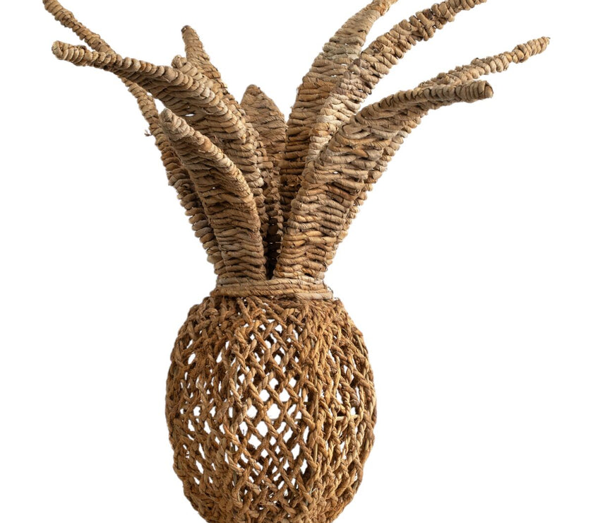 V2H5C551A62B8A6392920249BF4786B81EAR4954565P1