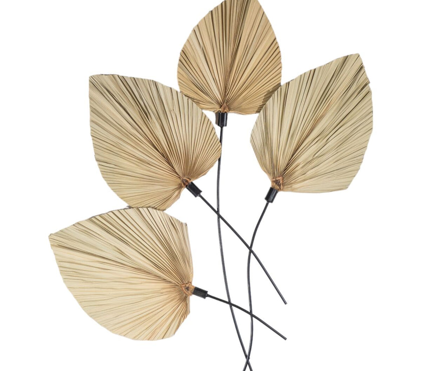 V2HFAF46D346D3E2C803962B2DC971467BFR4954562P1