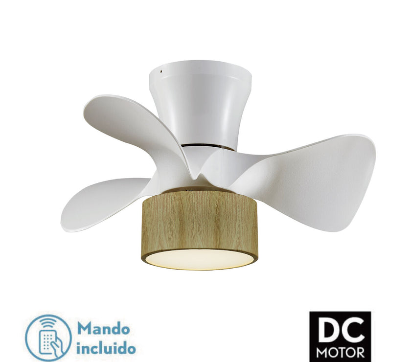 V3H8C2B53C5297F8FFC8A8C29194FB870FAR5197571P2