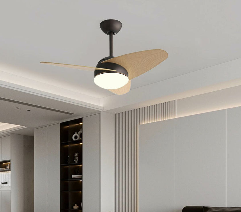 V3H2CFDCA261512BBEF27B328377A1BE9C9R5197655P4