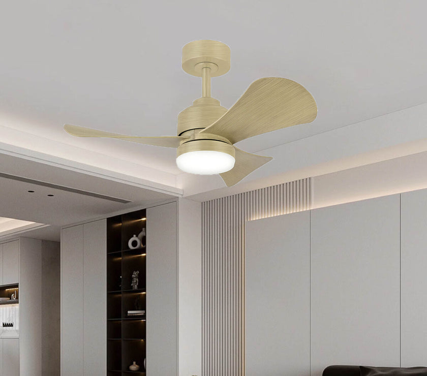 V3H277F83C9FAFC57F1DE31A3884D3B3B4FR5212600P3