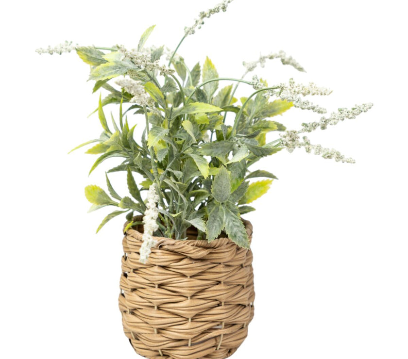 V2H9F1FEF5770BC3D0FB2E9F114F63DBFCCR4973615P1