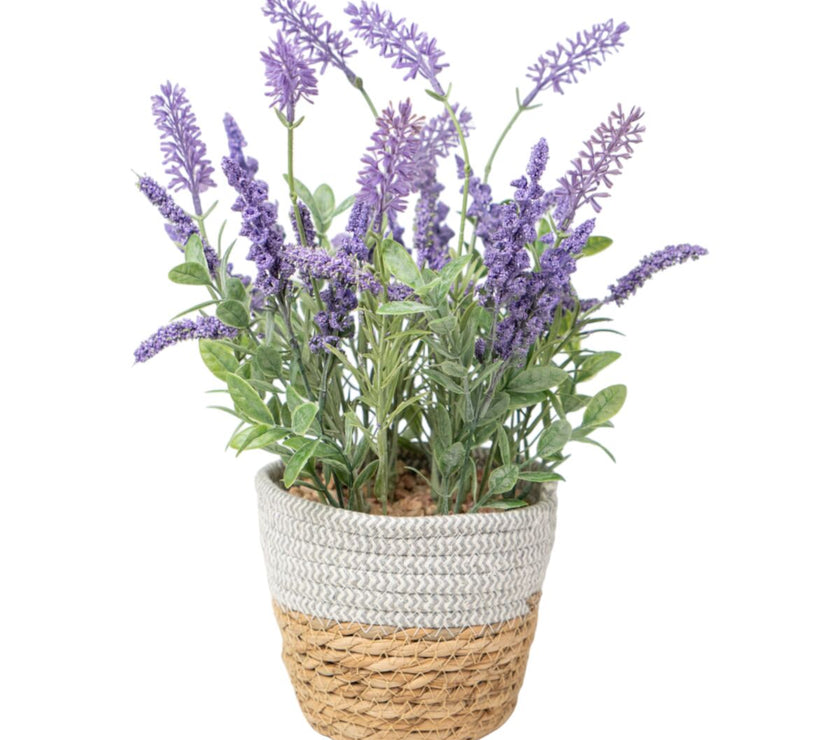 V2H36962EDAF49AE1C16B319AA586BAFAD9R4973605P1