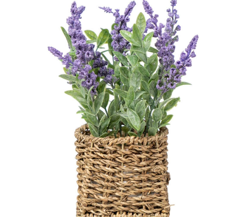 V2H97007D03DCE254C1E1D0360A93AFC6E2R4973570P1