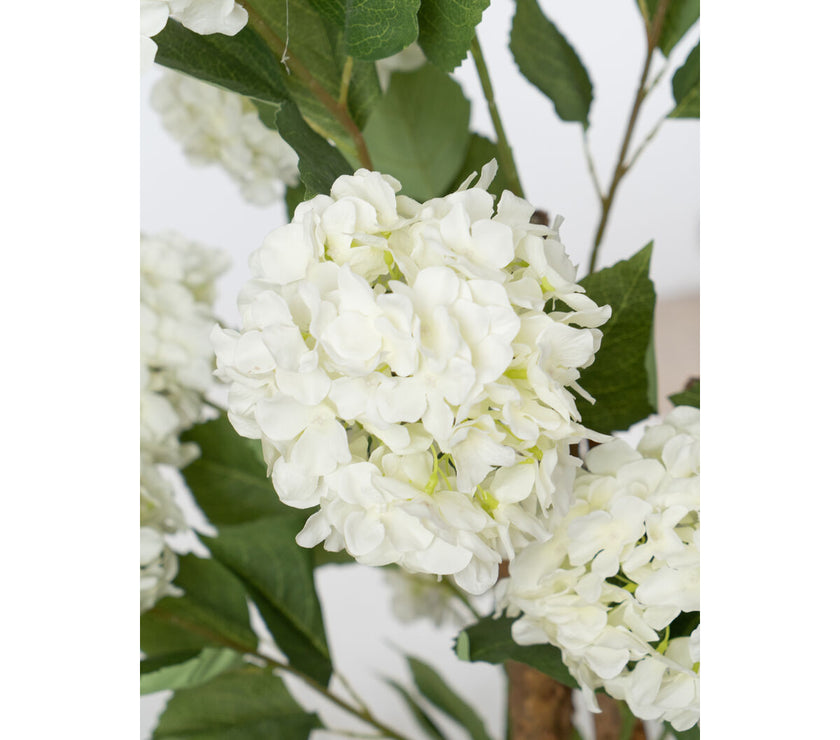 V2H01BE78698FDB063CABC8CB16BA20EA8DR4973497P2