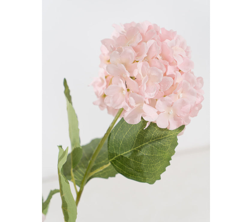 V2HFAB68E32DB1DA40F71BDD6F0C3EE4931R4973623P2