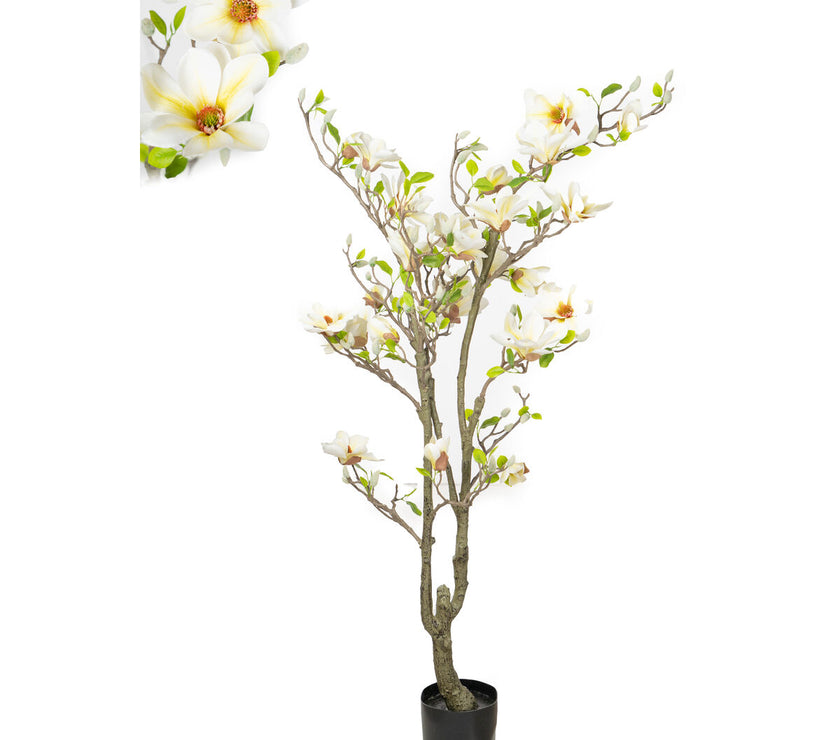 V2HBAD3F112615B7A06251C9A533CB730D8R4973637P1