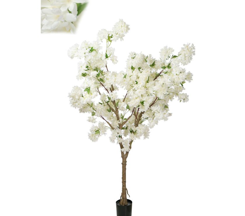 V2H6A396CEA461102670DFFFF6563B041BDR4973714P1