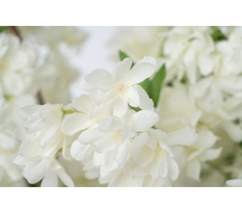 V2H90212D949EEF5E08C3B737236F14665FR4973715P2