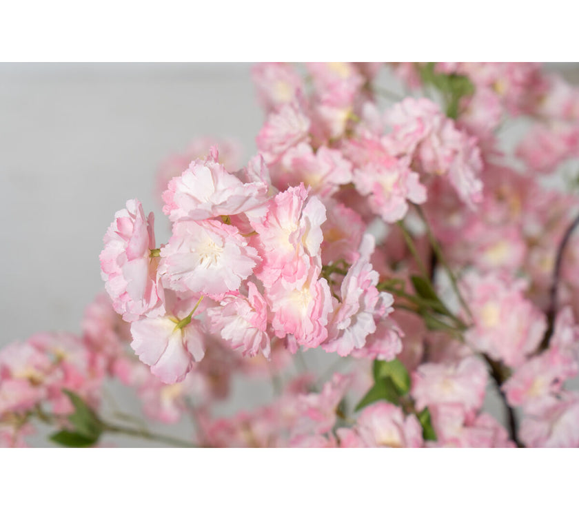 V2HF5CDD7EC2E4B3118249DA872CB63EAF2R4973711P2