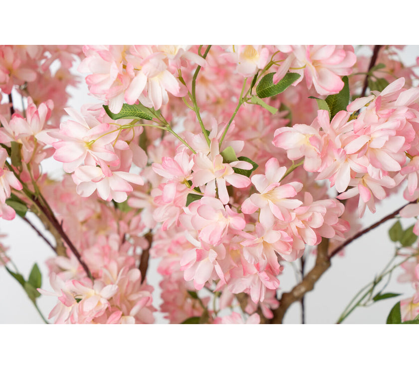 V2H78DB64CAF64EDCDA69A2E3430807D30DR4973685P2