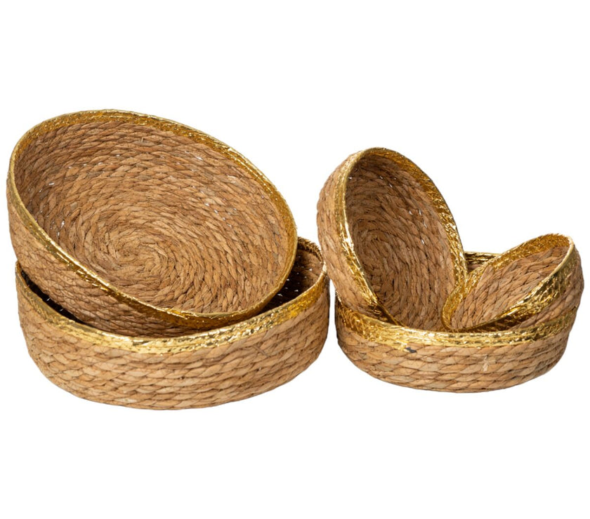 V2HD80AB79E1F5C92E77C608D934302577BR4975807P1