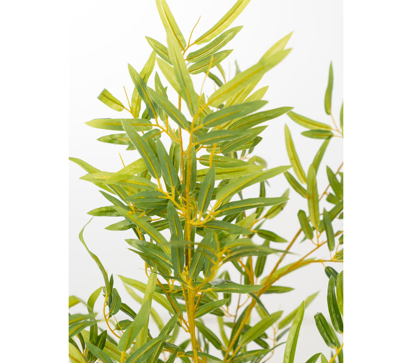 V2HF5FD93AC0C16FF861C9E2BAE538B8F29R4973717P2