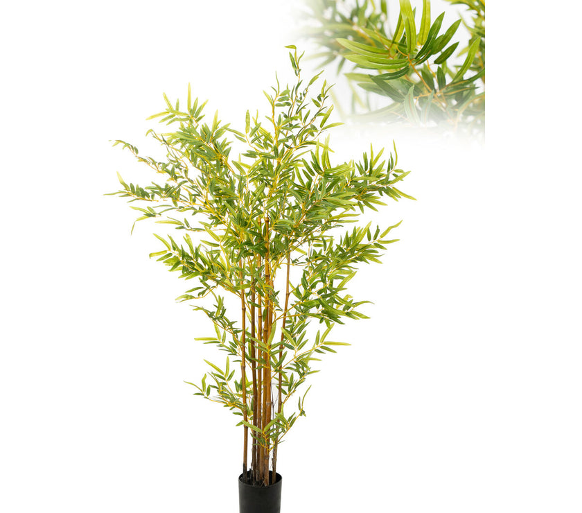 V2H7BADDD6DB163E59EE75244D020080493R4973684P1