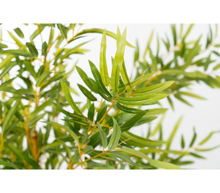 V2H3AB119700C7AA2CA78634565BA897FEFR4973688P2