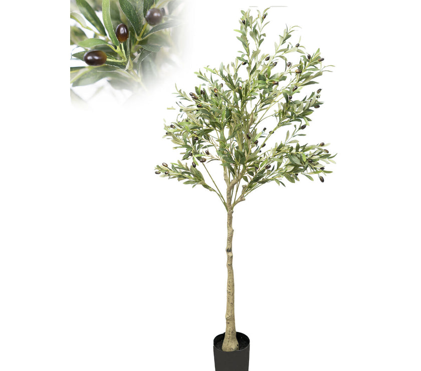 V2H60BB8B61ADDC5DEE16F9F82CDC2D1198R4974077P1