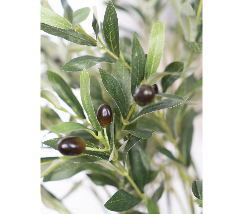 V2H4659EB69C2502D9D21F7D290D82C5566R4974078P2