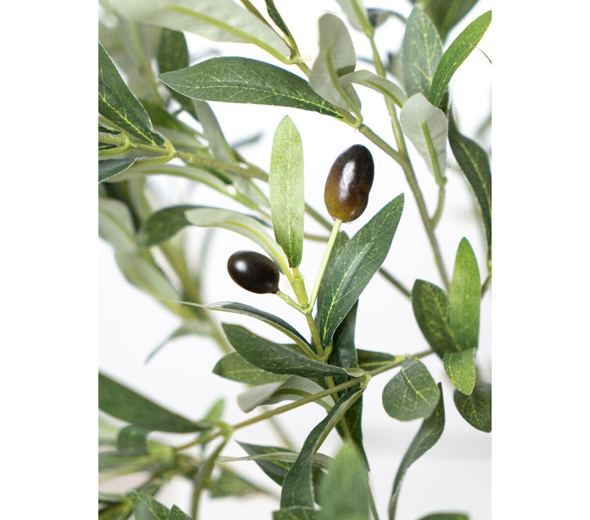 V2HEBB802C48A845F4D7B9338CF9AB54241R4974075P2