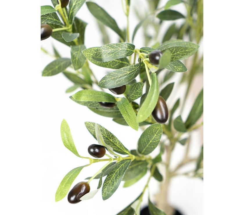 V2HF5CBD0F95B2C058EE98A902AC8CC7B9AR4974088P2