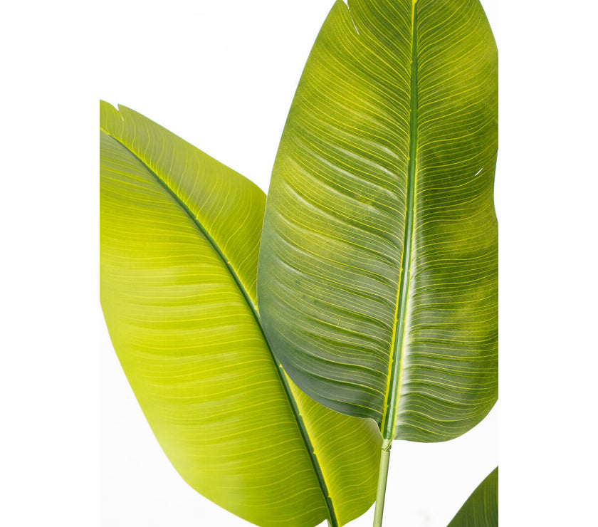 V2H4311E051EED42AC4301A19EC8F7E0ABCR4974053P2