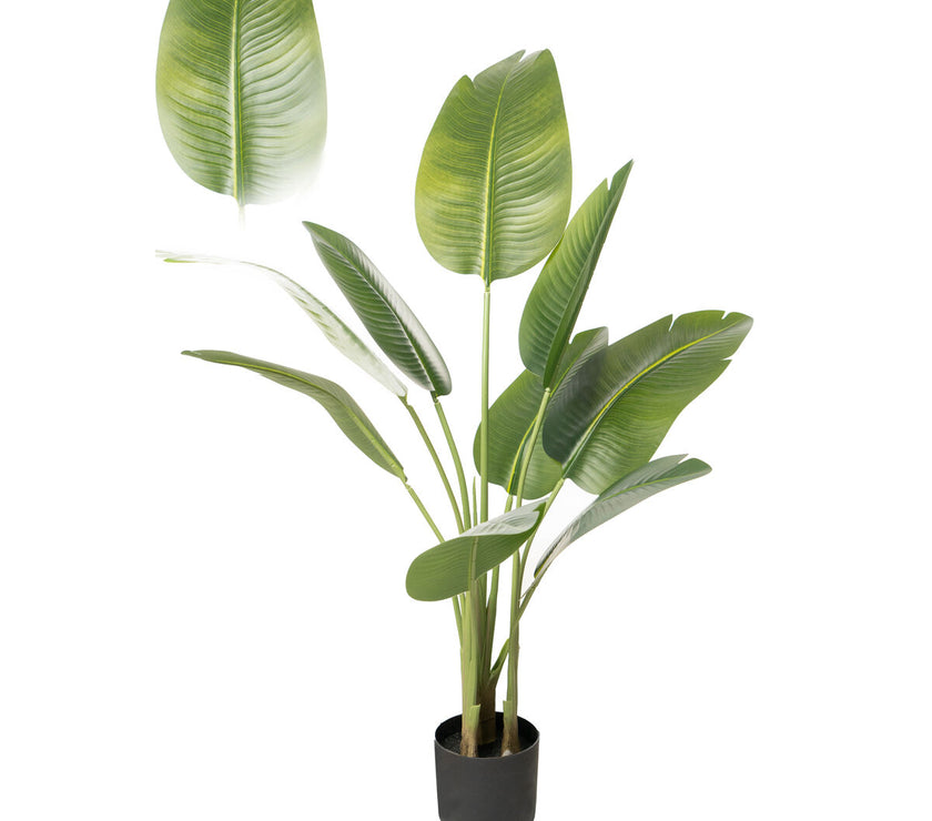 V2H81EB59925AB8547626AD4EAEC2EAF48FR4974054P1