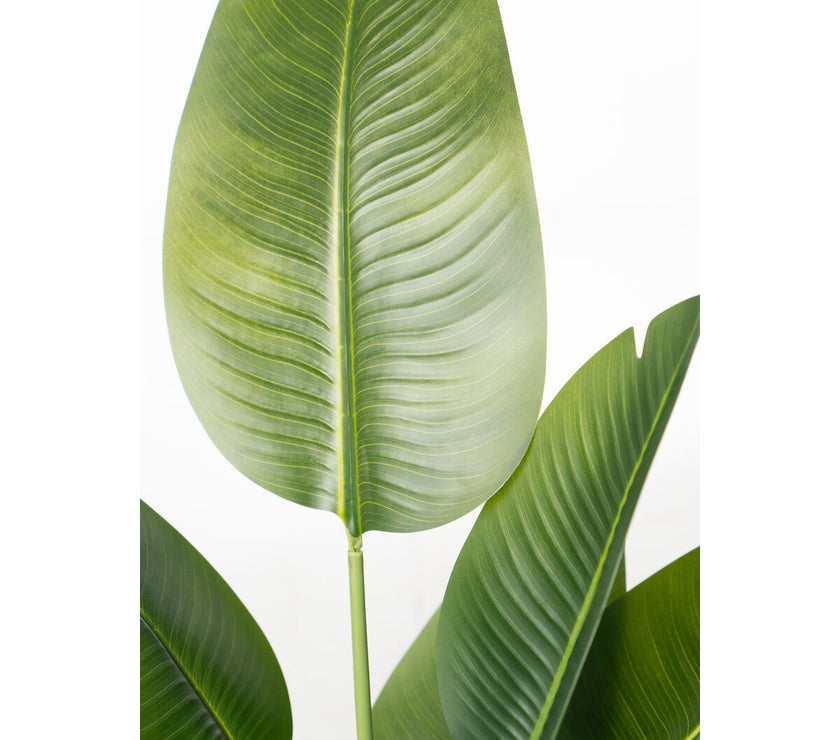 V2HFB19DB17F4FAA2A1E98E6F4FF84A527BR4974055P2