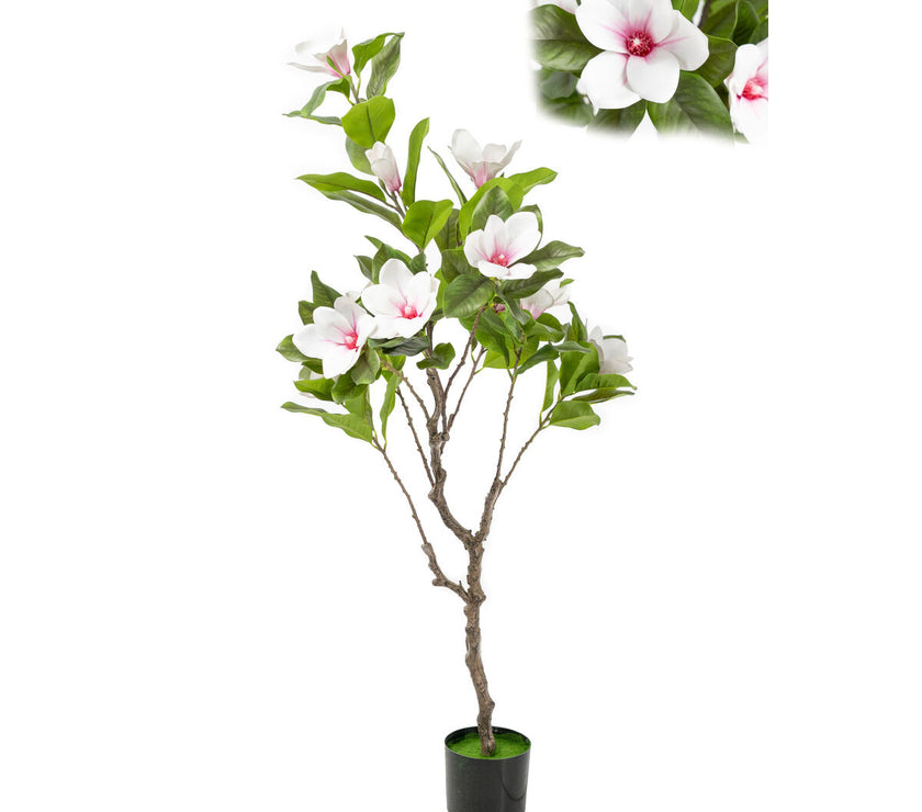 V2H3643C9E8037D8D61015607CBFEC8A379R4974086P1