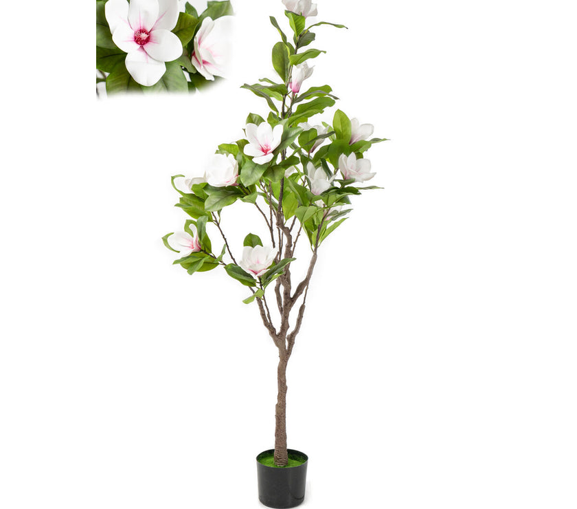 V2HC8AF199621DEE0A520CCEE38FFAA3B3FR4974069P1