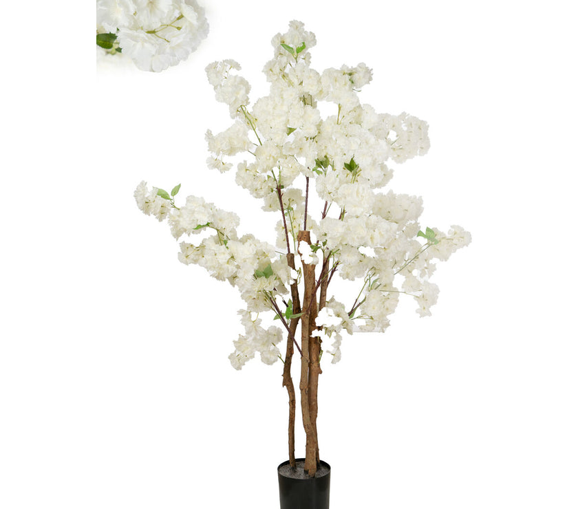 V2H1D67B5C45AA0A1CC7CF14D0B2EB01CAAR4973682P1