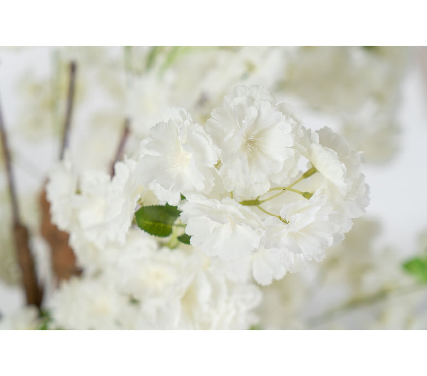 V2HDE5EAF5256CBCAEA9637E43F1B32F1DAR4973686P2