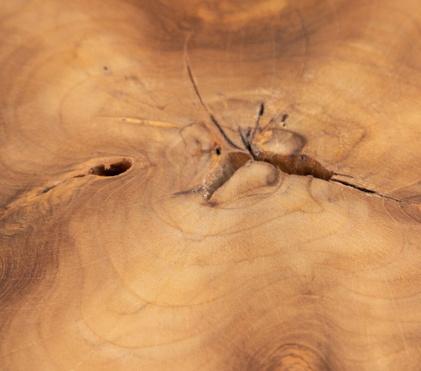 V4H856FDEF79670EC391BCE04C09FB6982ER5159770P5