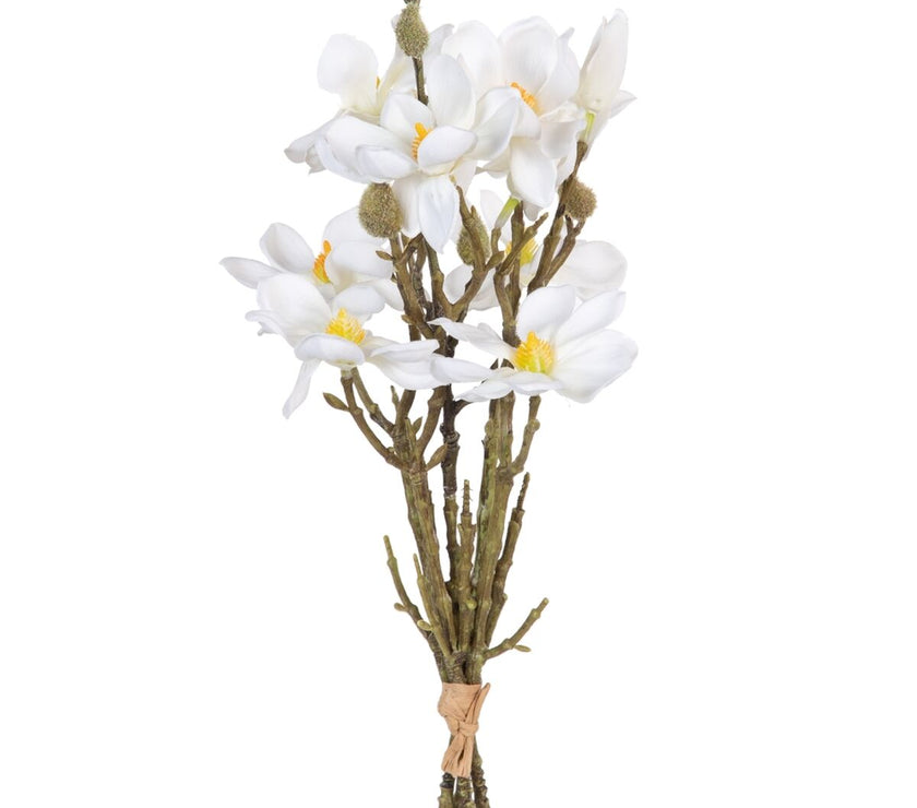 V2HBD60ED66D3C16D24229FA03E8520E442R4461557P1