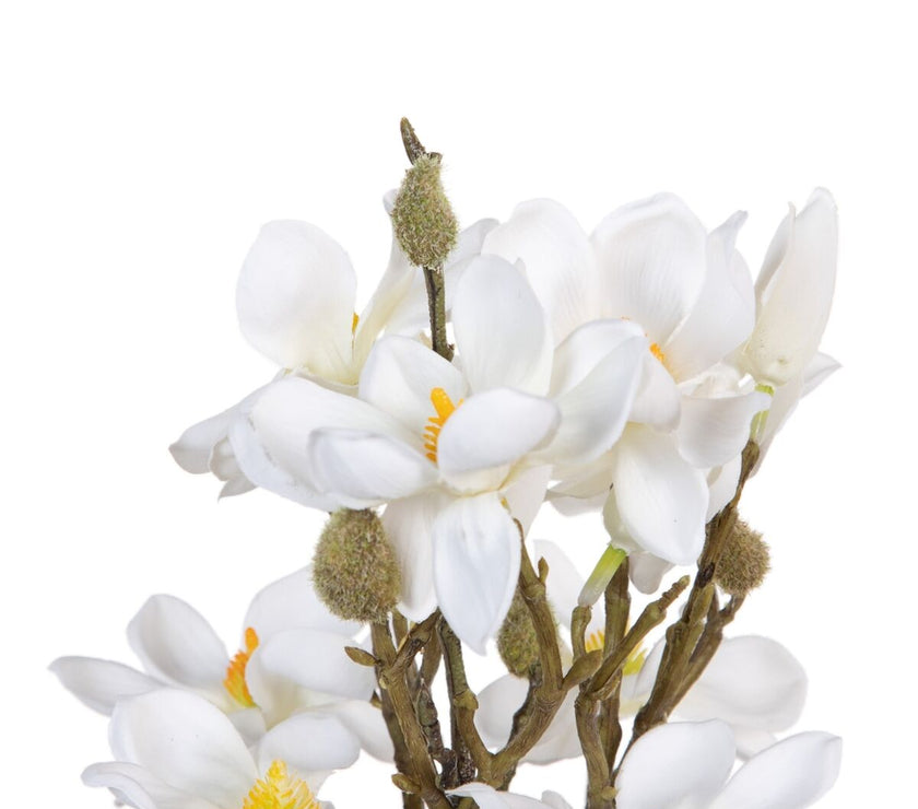 V2HAD53486C42ECA5852D443AAEB6E2B6F8R4461560P3