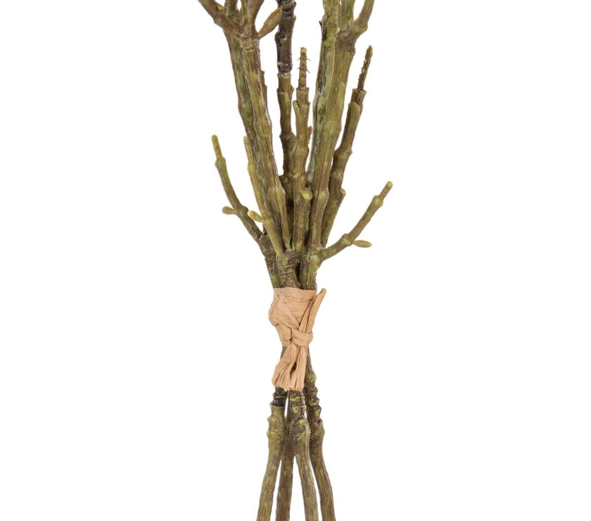 V2H8D1512D01653436902FAFE75450FB355R4461562P4