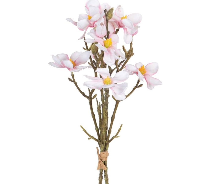 V2H71905E6FCBDD7895F4E4E1614D5D6212R4461559P1