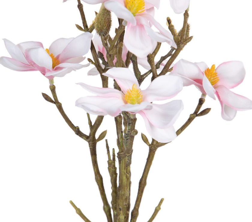 V2H0309DA7C7E8CBA60FF13A979C30089BCR4461561P2