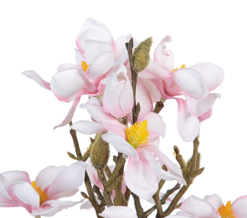 V2H21D3B5C050F759C1E4B7467D1BAE05D8R4461563P3