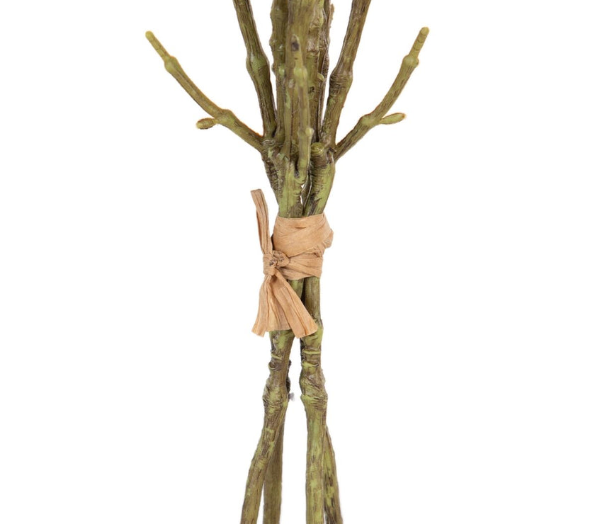 V2H29C12846B48A01D546FC9B5D6847F435R4461564P4