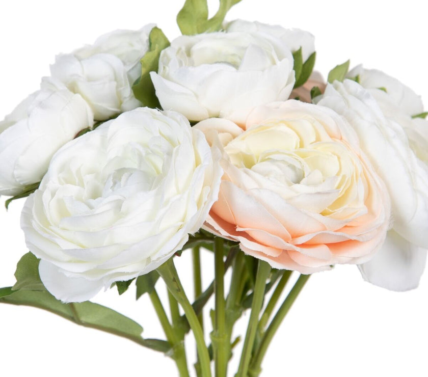 V2H0A89497286FAAADA6E0055AA13929A34R4461570P2