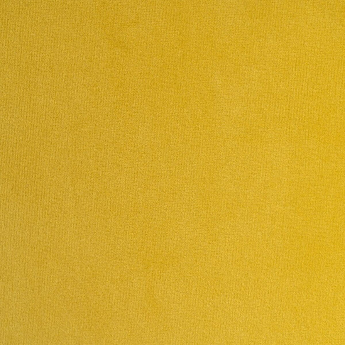 V4H529AA4F9EF30397D674ADDCCC16921C4R4951894P5