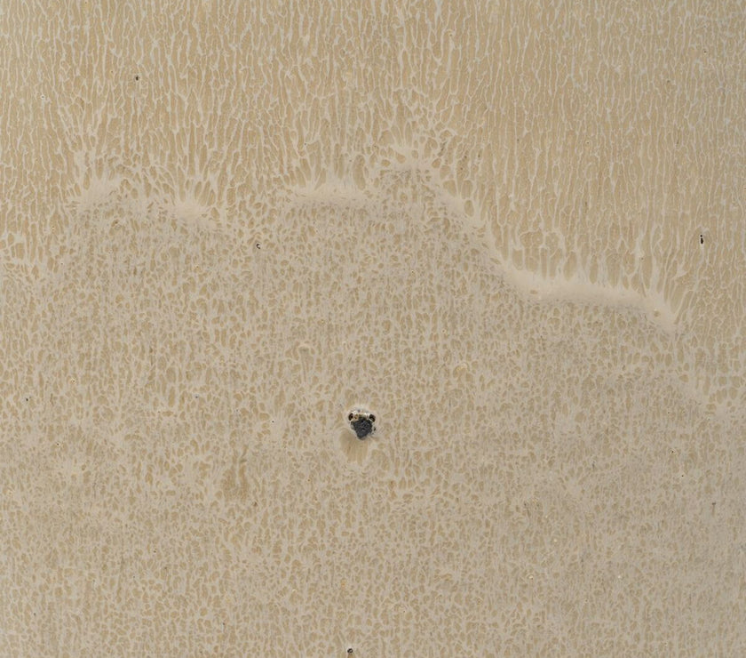 V3H9D86B7D868F71DB593EE3D662AFA98BBR2899213P7